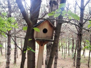 1463943272_IMG_3229__1_